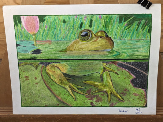 "Bullfrog" Original Prison Art fine prison art original art Alannah Jones 
