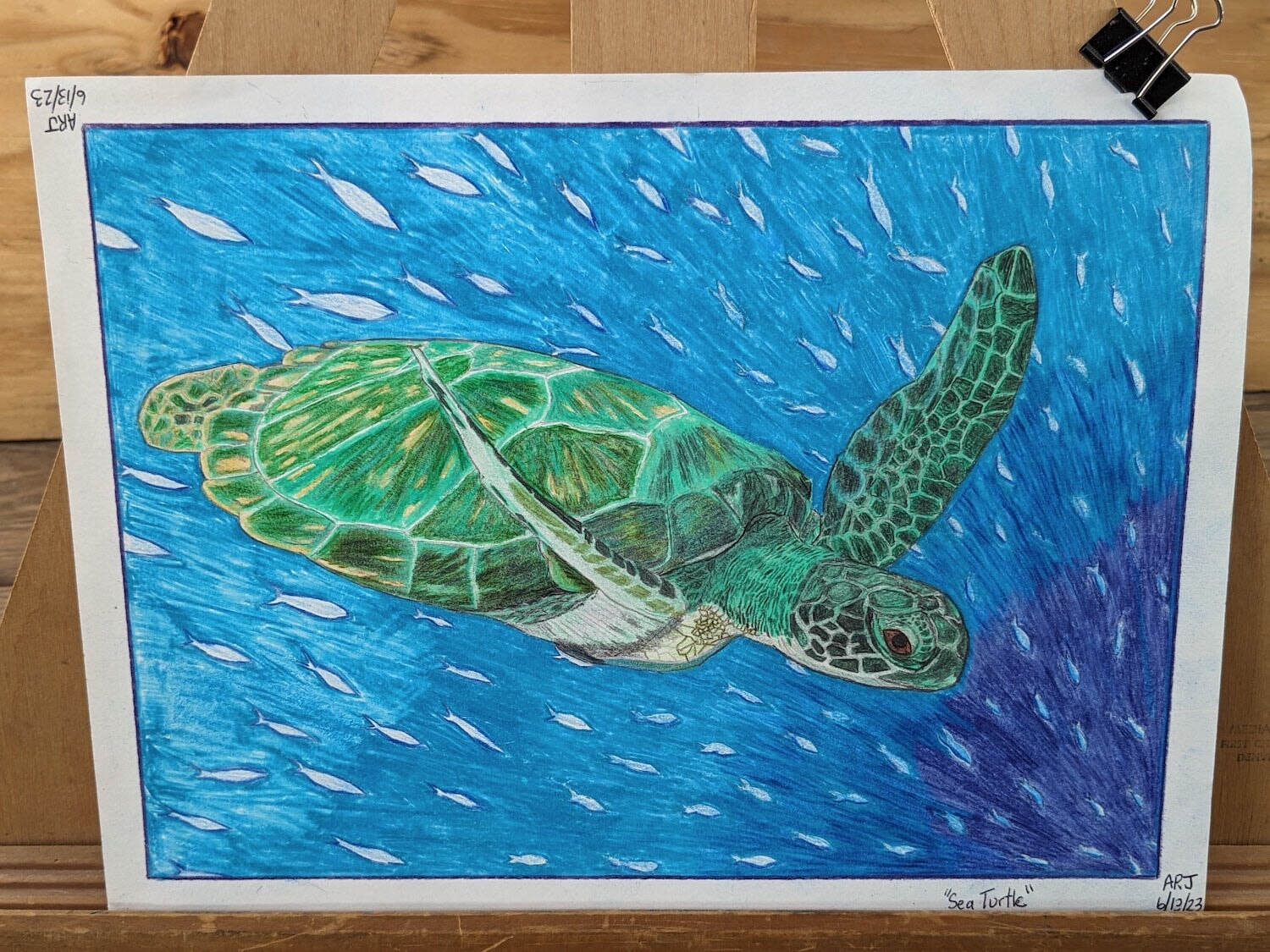 "Sea Turtle" Original Prison Art fine prison art original art Alannah Jones 