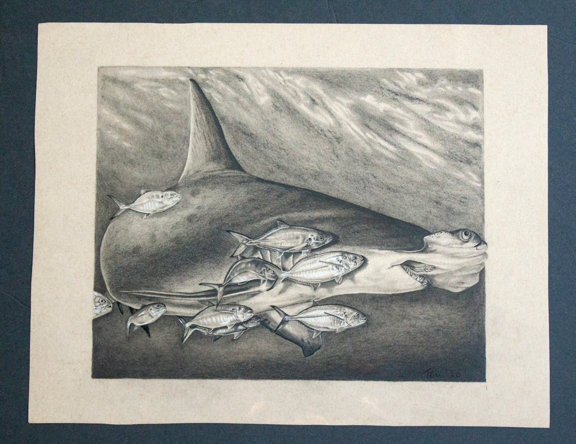 "Hammer Head Shark" fine prison art original art James Anthony Dunham 