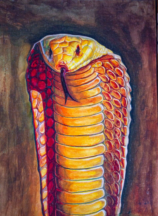 "Toxic Snake" Original Prison Art fine prison art original art James Anthony Dunham 