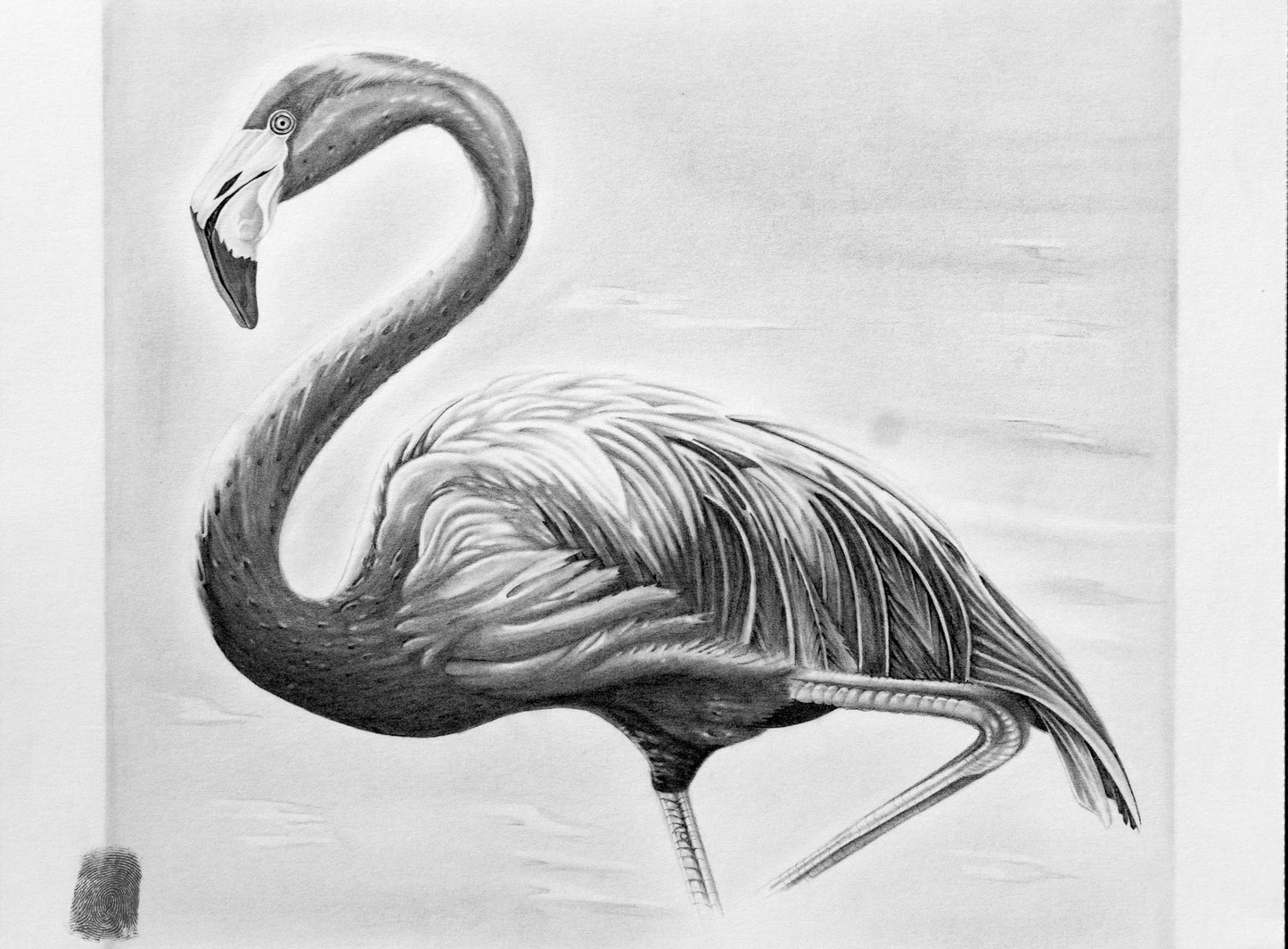 "Flamingo" prison art Print on Demand Corey Dean Wagner 