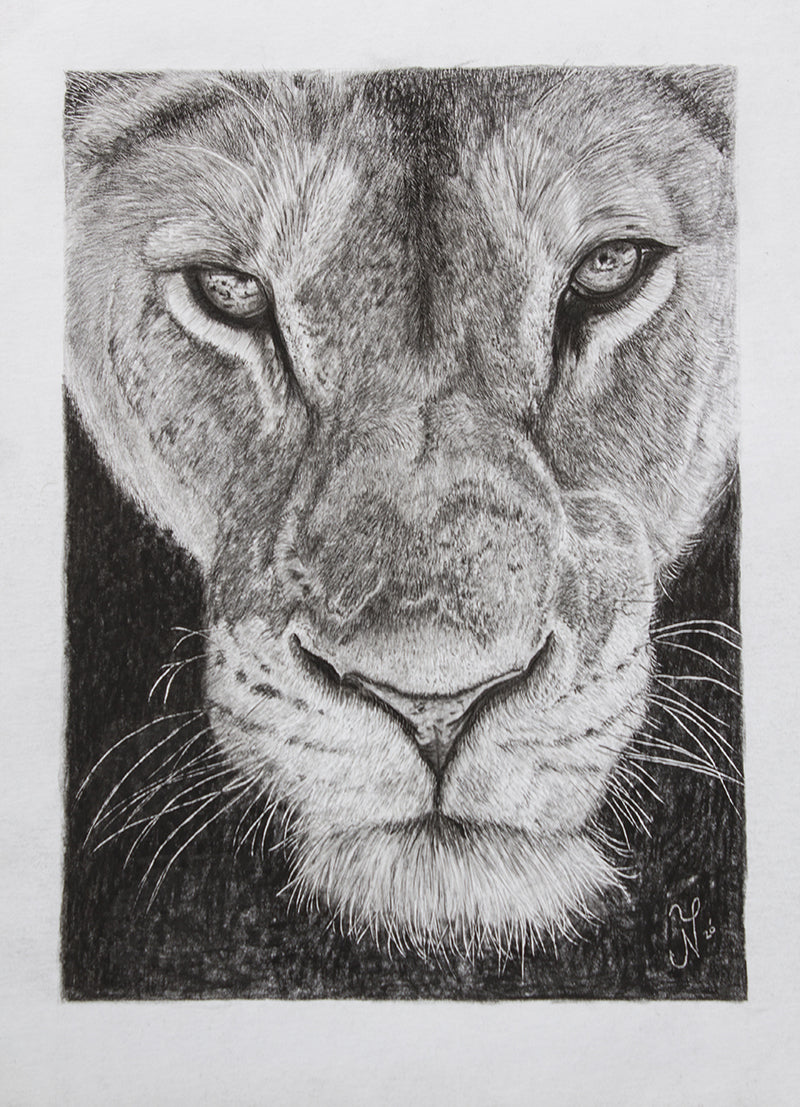"Lioness" - Joseph Yasurek prison art original art Joseph Yasurek 