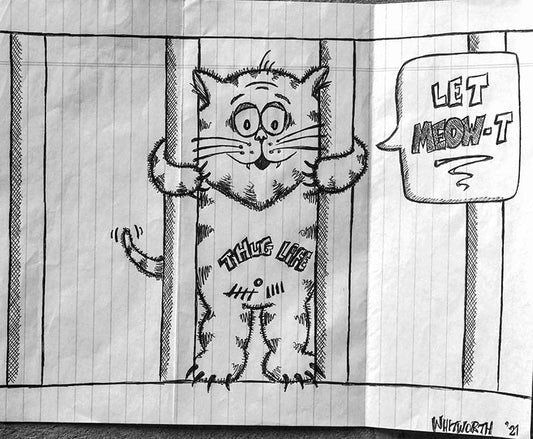 "Let Meo-T cat" - Wesley Whitworth prison art original art Wesley Whitworth 